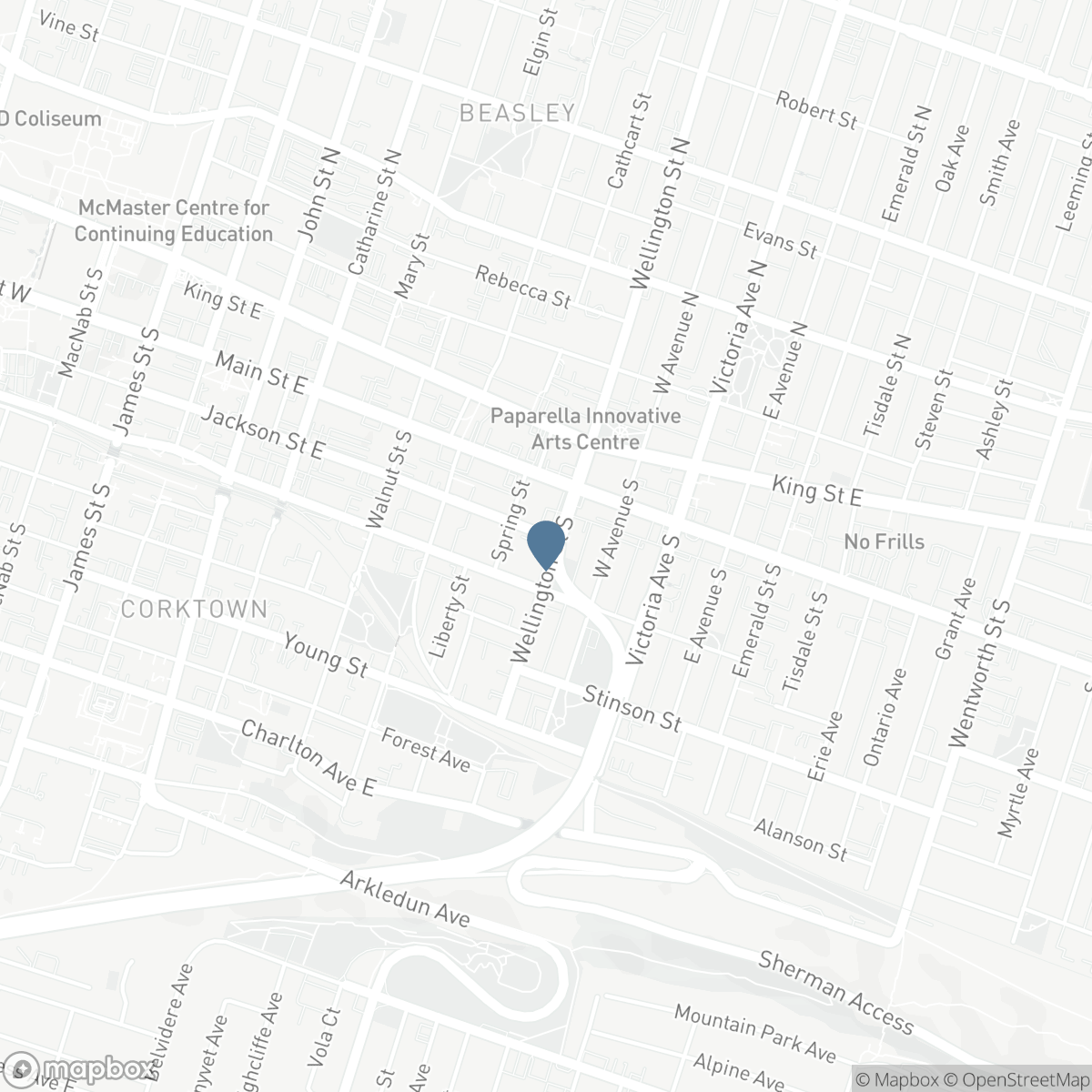 58 WELLINGTON Street S, Hamilton, Ontario L8N 2R1